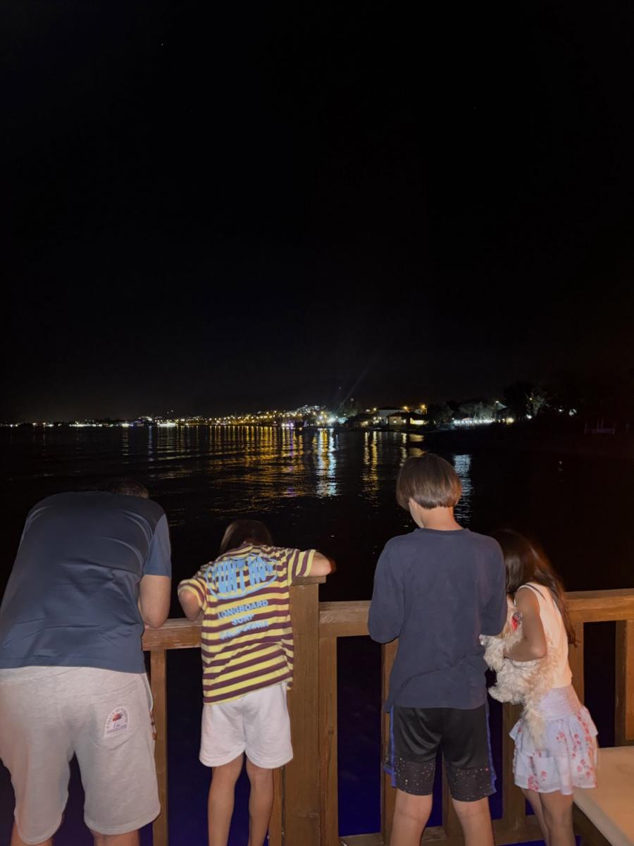 Safurənin ailəsi ilə istirahəti - FOTOLAR