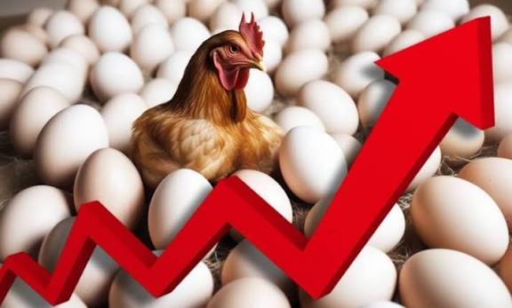Əvvəl 1-2 indi 10-12 qəpik: YUMURTA NİYƏ BAHALAŞDI?