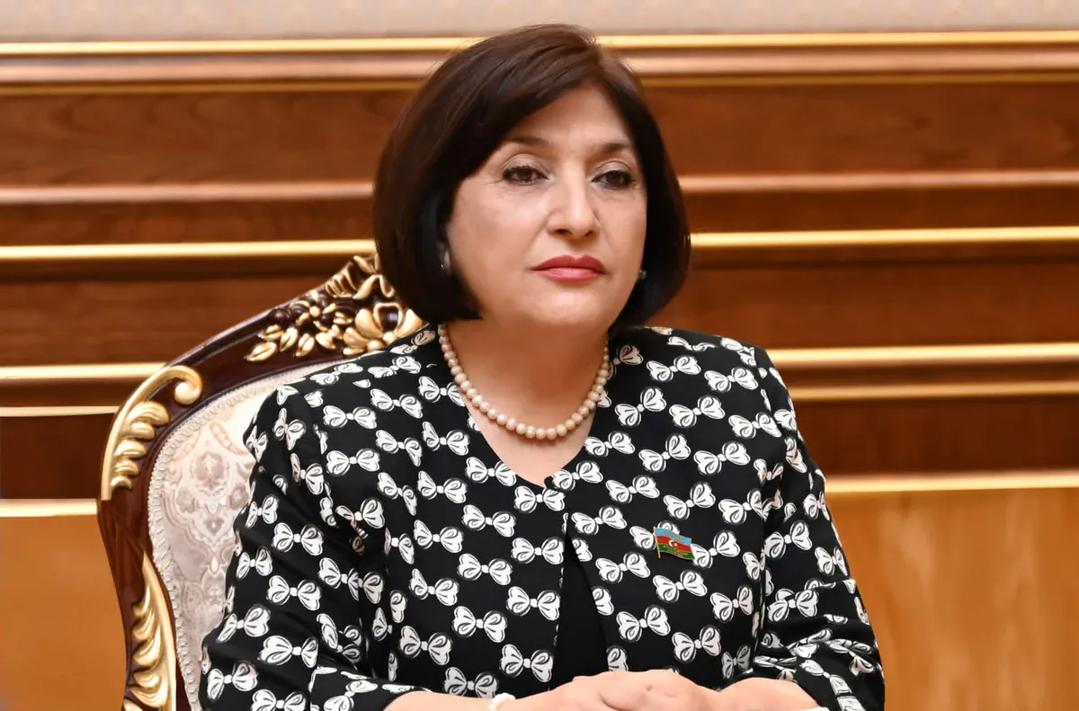 Sahibə Qafarova: Dünyada davam edən münaqişələr və böhranlar insanların həyatını risk altına alır