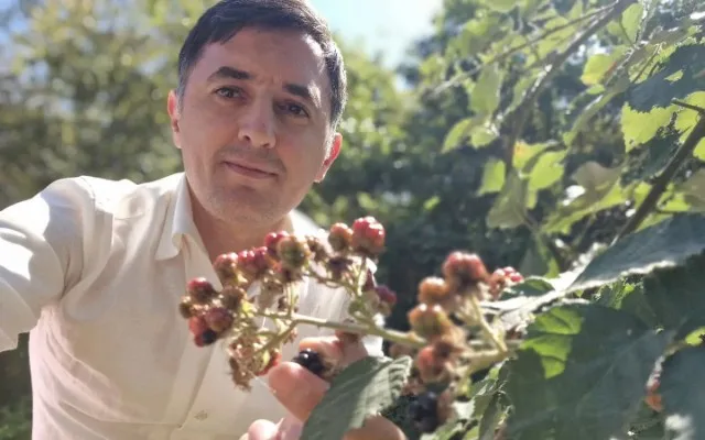 "Dövlət əmlakını taladım" - Tural Abbaslı