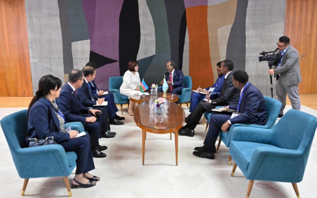 Sahibə Qafarova Somali Prezidenti ilə görüşdü