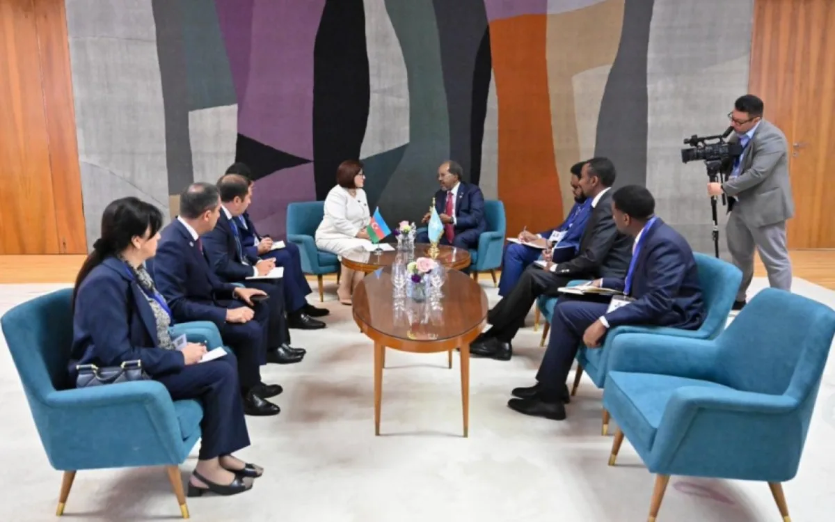 Sahibə Qafarova Somali Prezidenti ilə görüşdü