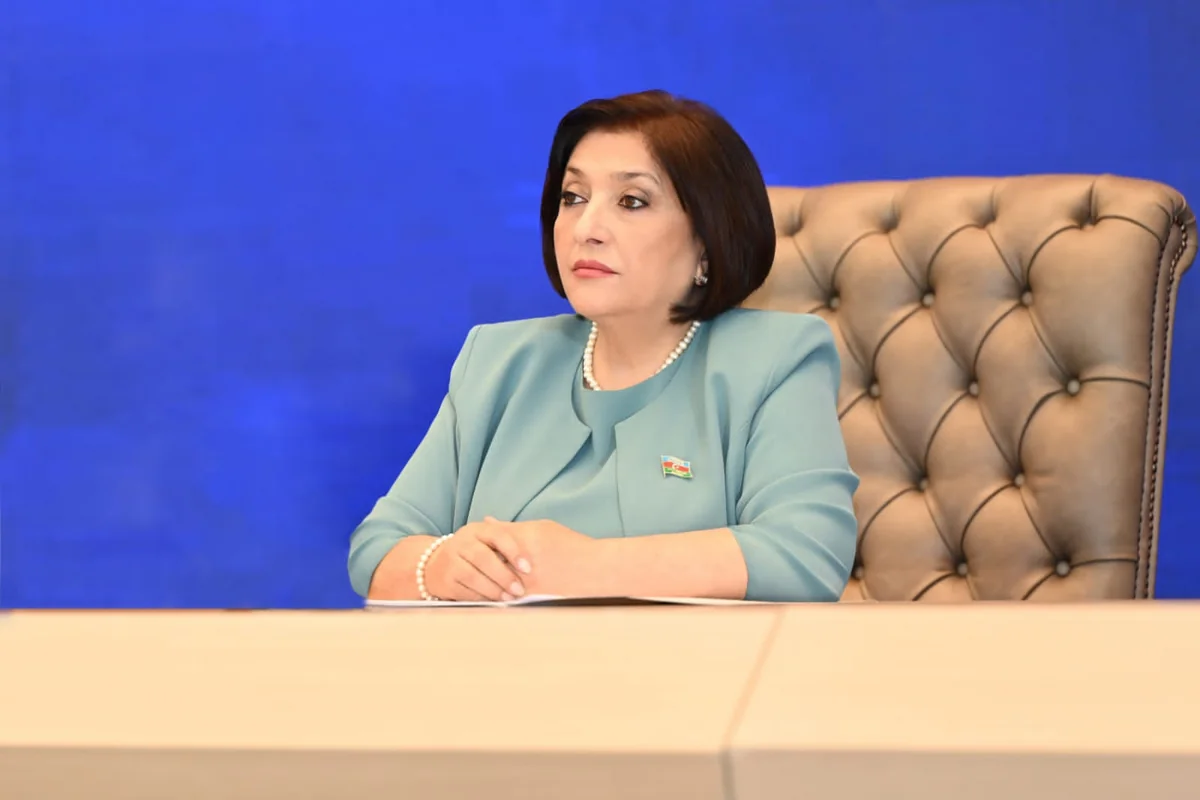 Sahibə Qafarova Belqradda vacib iclasda