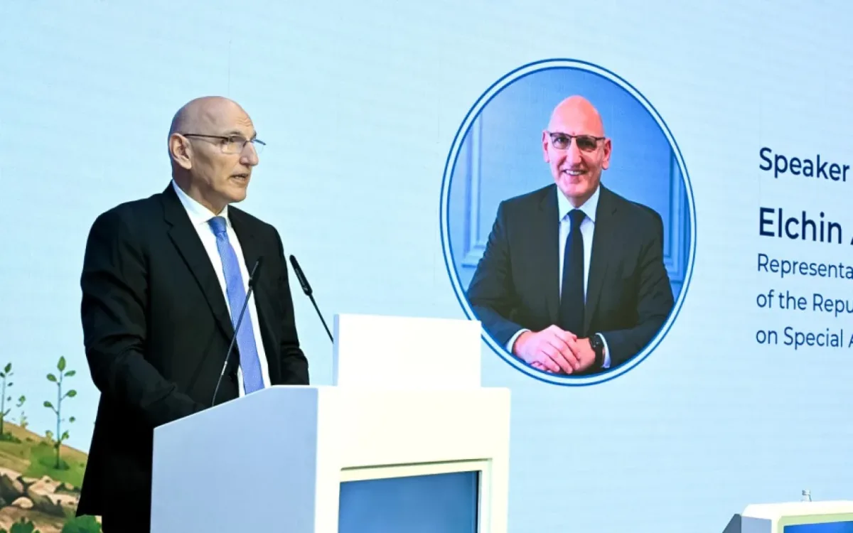 "Mina təhlükəsi ilə mübarizəyə beynəlxalq dəstək məhduddur"