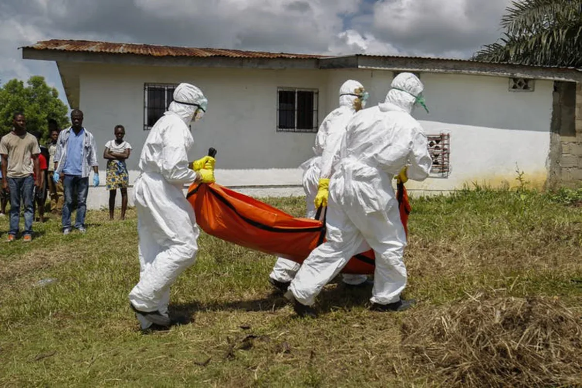 Ebola virusu - Yoluxanların sayı...