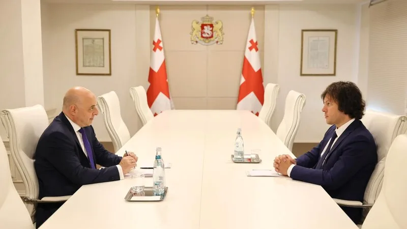 Kobaxidze Azərbaycana təyin olunmuş yeni səfiri ilə görüşdü
