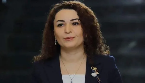 Keçmiş deputat vəzifədən azad edildi