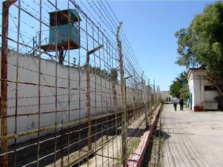 Bakıda heyvanla rəhmsiz rəftar edən şəxs həbs edilib
