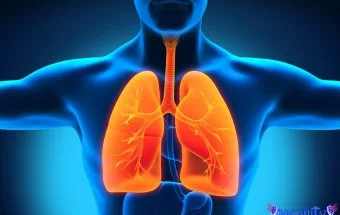 Ağciyərləri necə qorumaq olar? – Səhiyyə Nazirliyinin pulmonoloqundan vacib tövsiyələr