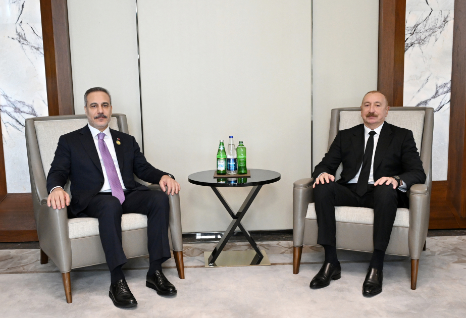 İlham Əliyev Hakan Fidanı qəbul etdi